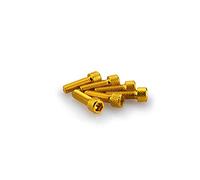 Puig 0364 G Blister 6 vis, M6, 20 mm, Couleur Or