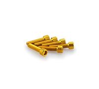 Puig Lot de 6 vis en aluminium M6 x 25 mm sous blister compatible universal Couleur DORADO/ORO