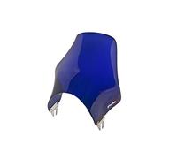 Puig 0869A Para-Brise Naked Bleu