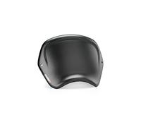 Puig 22223C Plaque Frontale ABS usage spécifique, Carbone