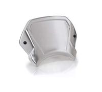 Puig 22224P Plaque Frontale Aluminium - Design Compétition et Protection Aérodynamique, Argent