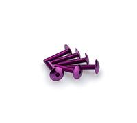 Motoplastic Vis 3995, lot de 6 aluminium M6 x 30 mm tête convexe sous blister lilas