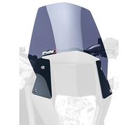 Puig 6009F Saut de Vent Naked New Generation Sport, Fumé Foncé