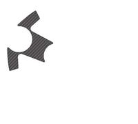 Puig 6238 Tige ° C Protection d'écran pour Kawasaki ninja250r 2008-2012 - Noir