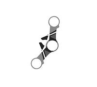 Puig 6986u Protection d'écran pour section R1150R Gris