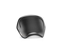 Puig 9168C Plaque Frontale ABS Usage spécifique, Carbone