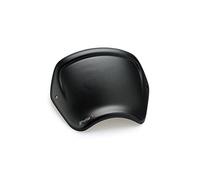 Puig 9229C Plaque Frontale Alu Usage spécifique, Carbone