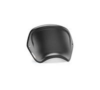 Puig 9768C Plaque Frontale en ABS avec Design rétro et Fonction Porte-numéro pour Protection et esthétique Sportive, Carbone