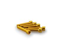 Puig Blister 6 vis Allen M6 x 30 mm. Or