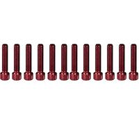 Puig Blister 6 vis allen M6 x 30 mm. rouge (Lot de 2)