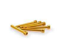 Puig Blister 6 vis Allen M6 x 50 mm. Or