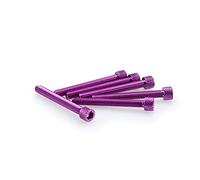 Puig Blister 6 vis Allen M6 x 50 mm. Violet