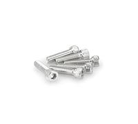 Puig Blister 6 vis Allen M8 x 30 mm. Argent métallique