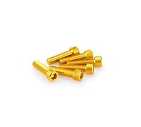 Puig Blister 6 vis Allen M8 x 30 mm. Or