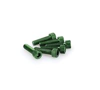 Puig Blister 6 vis Allen M8 x 30 mm. Vert
