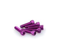 Puig Blister 6 vis Allen M8 x 30 mm. Violet