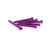 Puig Blister 6 vis bombées M6 x 55 mm Violet