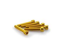 PUIG Lot de 6 Vis Allen M6 x 35 mm Citronier