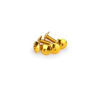 PUIG Lot de 6 Vis Bombée M6 x 15 mm. Citronier