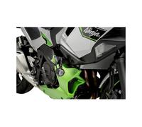 PUIG Protecteurs de moteur R19