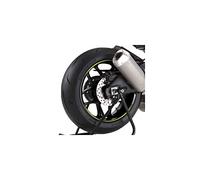 Puig Set 8 Bandes en Arc Premium Citronier