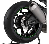 Puig Set 8 Bandes en Arc Premium Vert