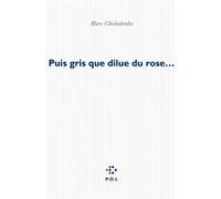 Puis gris que dilue du rose que brûle le bleu Marc Cholodenko (Auteur)