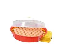 Puisor Exotic X2 Incubateur supplémentaire pour reptiles, volailles et œufs d'oiseaux exotiques - Qualité UE - Système d'inversion automatique - Excellente température de reproduction et résultat