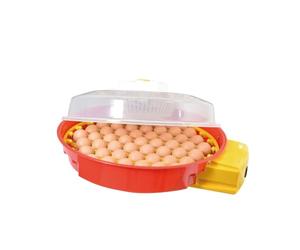 Puisor Exotic X2 Incubateur supplémentaire pour reptiles, volailles et œufs d'oiseaux exotiques - Qualité UE - Système d'inversion automatique - Excellente température de reproduction et résultat