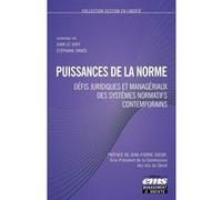 Puissances de la norme Stéphane Onnée (Auteur), Joan Le Goff (Auteur)