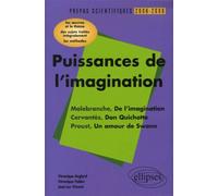 Puissances de l'imagination : Malebranche, De l'imagination, Cervantès, Don Quichotte, Proust, Un amour de Swann Malebranche, De l'imagination. Cervantès, Don Quichotte. Proust, Un amour de Swann - Vé