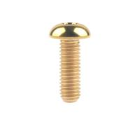 PULaif Boulons de raccordement à Filetage Complet, Jeu de vis Boulon en Titane M5/M6x8 10 12 15 16 18 20 25 30mm Demi-Rond Hexagonal for Porte-bidon de vélo(Gold,10MM-M5)