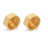 PULaif raccord de Tuyau en Laiton, Raccord de Tuyau 2 pièces Filetage mâle en cuivre Tuyau en Laiton tête hexagonale Embout Bouchon raccord coupleur connecteur Adaptateur(Female Plug,1/2inch)