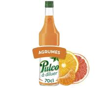 Pulco agrumes bouteille 70cl