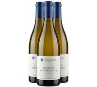 Puligny-Montrachet - Blanc 2023 - Domaine Caire-Deveze - Vin Blanc de Bourgogne (3x75cl)