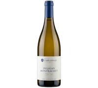 Puligny-Montrachet - Blanc 2023 - Domaine Caire-Deveze - Vin Blanc de Bourgogne (75cl)