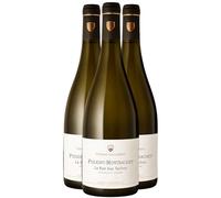 Puligny-Montrachet La Rue aux Vaches - Blanc 2022 - Domaine Thomas-Collardot - Vin Blanc de Bourgogne (3x75cl)