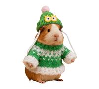 Pull à capuche pour hamster - Costume chaud pour petit animal de compagnie, furet d'Inde, lapin, chinchilla hamster, hérisson, gerbille