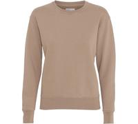 Pull col rond femme Colorful Standard Classic Organic desert khaki Beige M