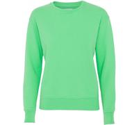 Pull col rond femme Colorful Standard Classic Organic spring green Vert M