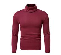 Pull Col Roulé Homme Manche Longue, Pull Chaud Homme Élasticité Couleur Unie Décontracté Confortable Doux Sweater Chic Coupe Slim Tempérament Passe-Partout Classiques Automne Et Hiver Chandail