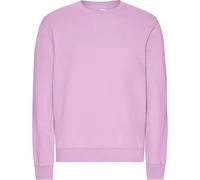 Pull Colorful Standard Classic Organic Cherry Blossom Violet M