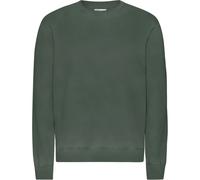 Pull Colorful Standard Classic Organic Midnight Forest Vert S