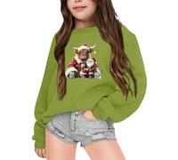 Pull de Noël Amusant pour Fille Enfant, Pull Rigolo Bovins des Highlands Imprime Mignon Sweat Sans Capuche Manches Longues Col Rond Pullover Mode Chaud Doux Vêtements pour 2 - 7 Ans Hauts Joyeux