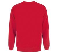 Pull de Noël Pokemon Homme Happy Holidays NS4416 (2XL) (Rouge)