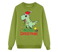 Pull de Noël pour enfants avec motif dinosaure Père Noël comme t-shirt à manches longues sweat-shirt douillet pour fille avec tenue festive pour l'hiver activités de loisirs confortables, vert, 4-5