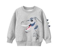 Pull d'hiver pour garçon avec imprimé dinosaure, doublure en polaire, manches longues, sweat chaud, haut décontracté pour enfants, mélange doux, confortable et cool pour garçons, Gris clair., 7-8 ans