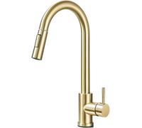 Pull-Down Kitchen Sink Pull-Out Dual Function Single Handle Hot and Cold Water Mixing Faucet