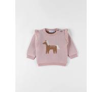 Pull En Tricot Cheval Rose 12M(74CM)