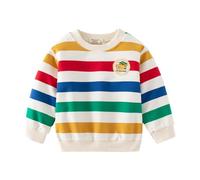 Pull Garçon Bébés Sweatshirt Vêtements pour Garçons Enfants Sportswear Rainbow Coton Jumper Pullover T Shirt Manches Longues Col Rond Blanc Atomne Hiver 2-3 Ans 3T Action de grâces Noël Cadeaux